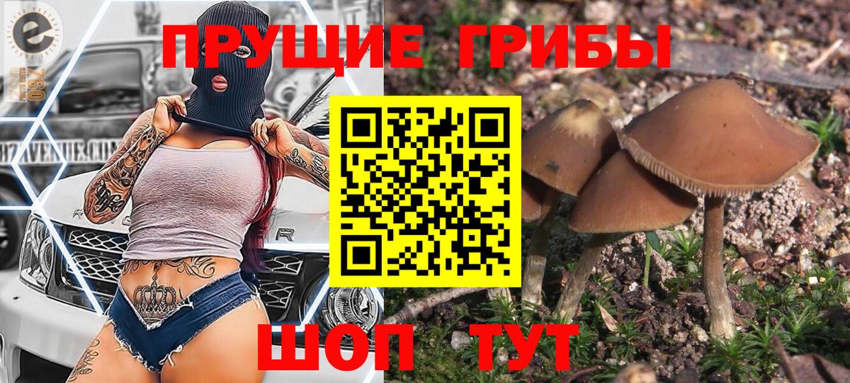 Псилоцибиновые грибы Magic Shrooms Северобайкальск