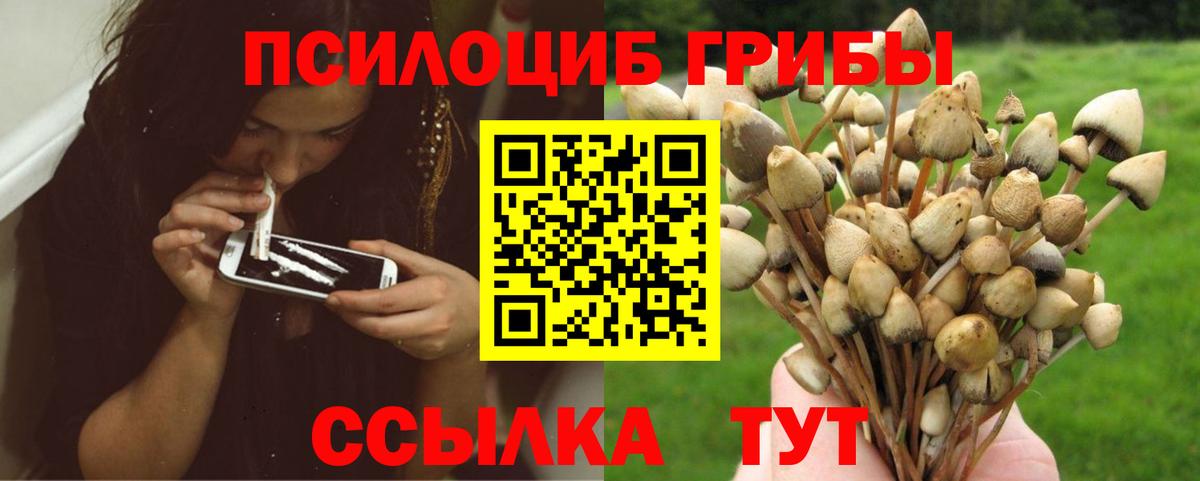 дарнет шоп  Галлюциногенные грибы Cubensis  Вход с VPN  Северобайкальск 